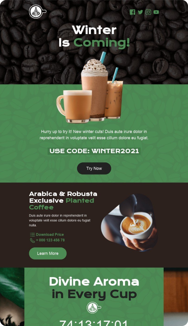 Winter Email Template for Beverages industry